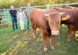 La XIII Feria del Ganado Selecto reúne este jueves más de 60 animales