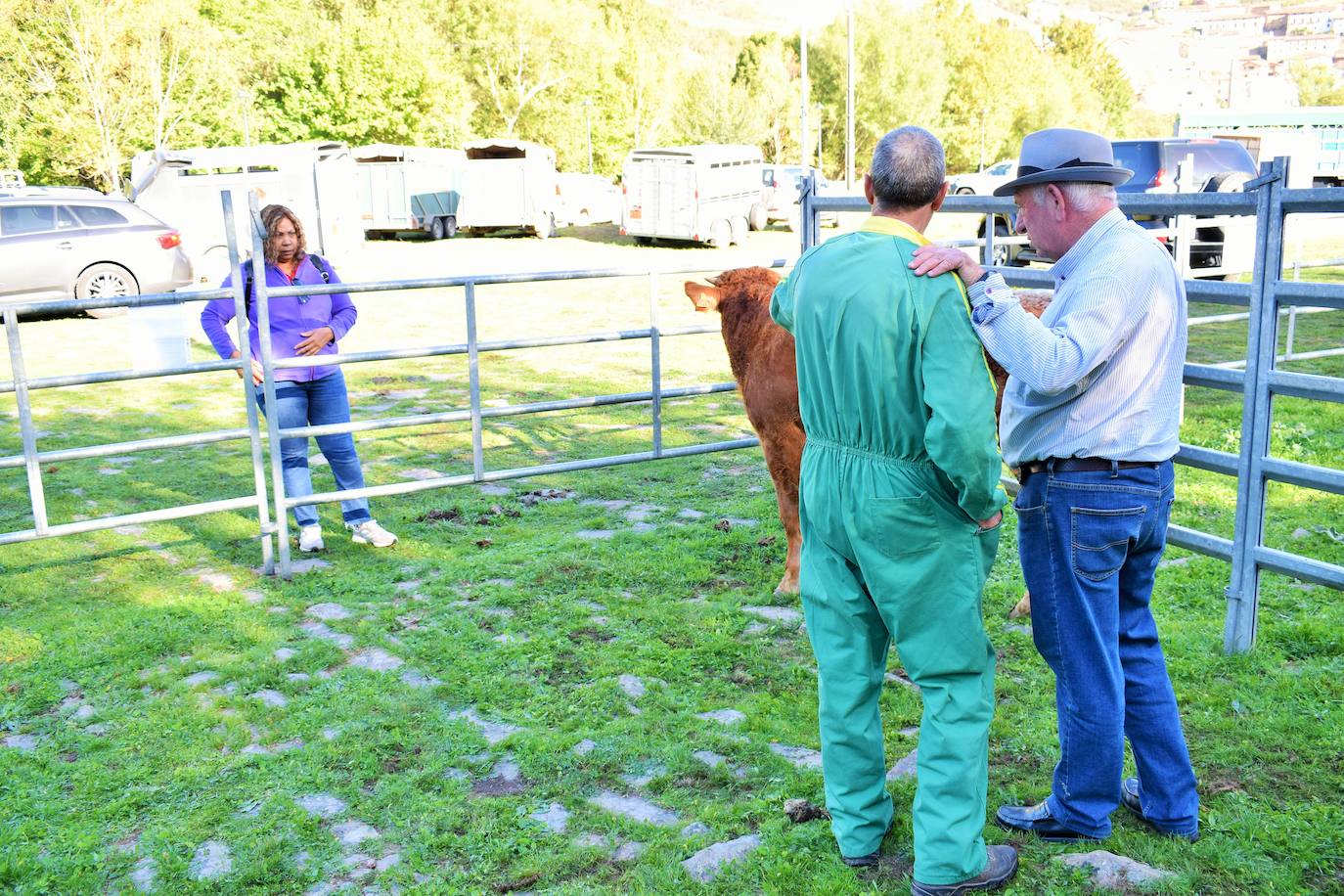 La XIII Feria del Ganado Selecto reúne este jueves más de 60 animales