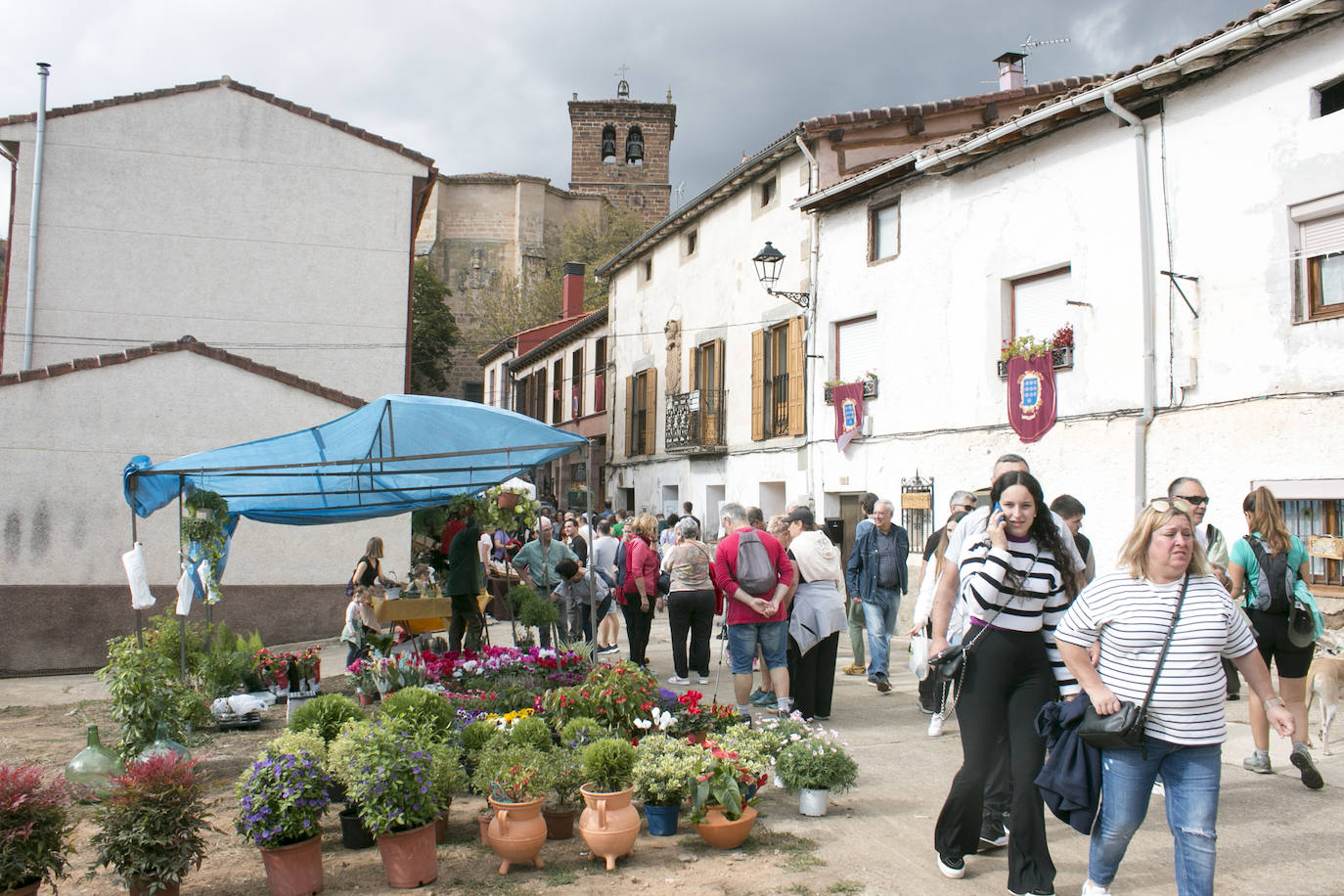 XIX Feria de ganado y de artesanía agroalimentaria de Ojacastro