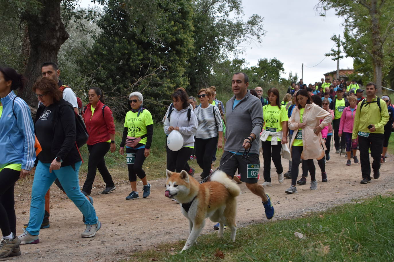 VII marcha solidaria de El Redal