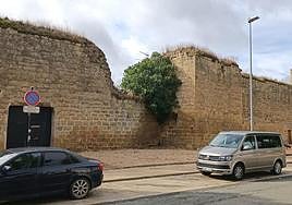 El lienzo amurallado más largo de La Rioja está en la avenida de Burgos. Algunos de sus muros presentan un deterioro que amenaza derrumbe.