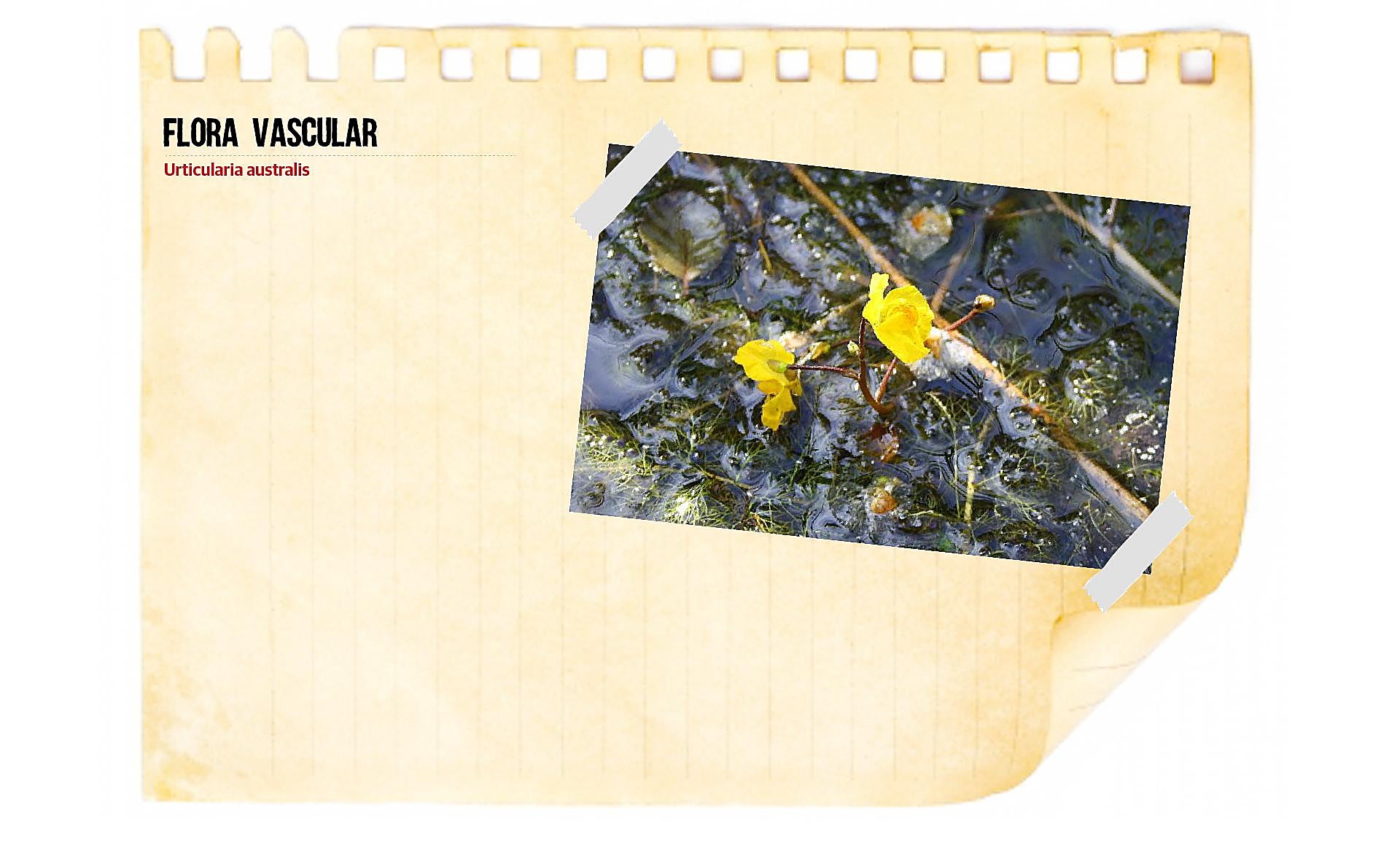 Scroll Story imagen 11