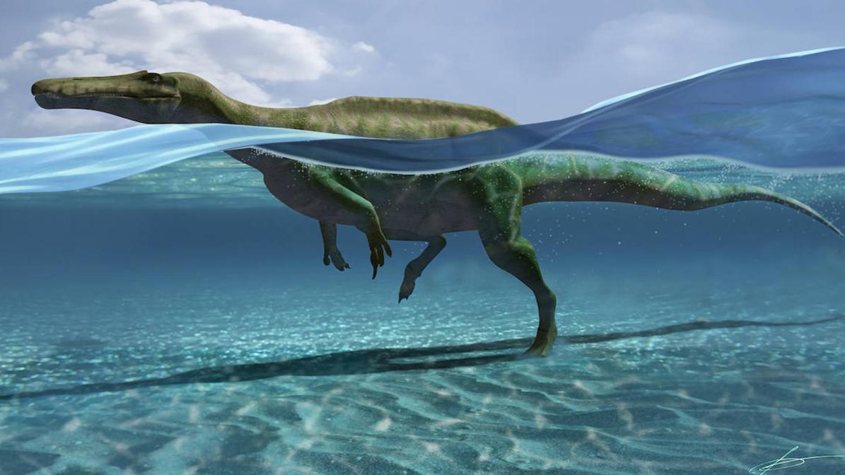 Ilustración de un dinosaurio nadando en el agua y dejando sus huellas en la arena.