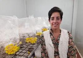 Rebeca Lavega González, este martes junto a un cultivo de setas 'Pleurotus citrinopileatus' en el Ctich de Autol.