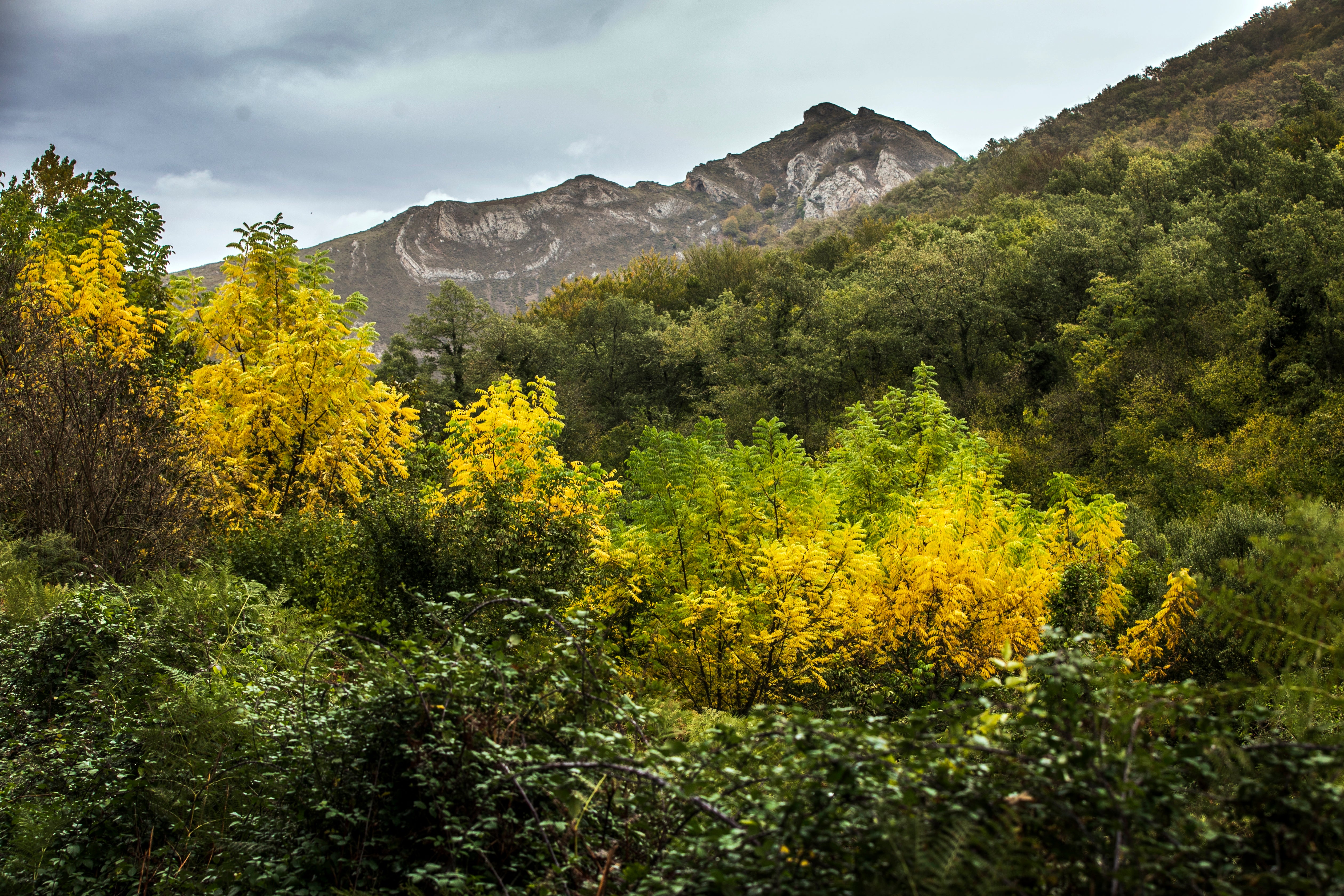 Rutas de otoño por La Rioja en imágenes