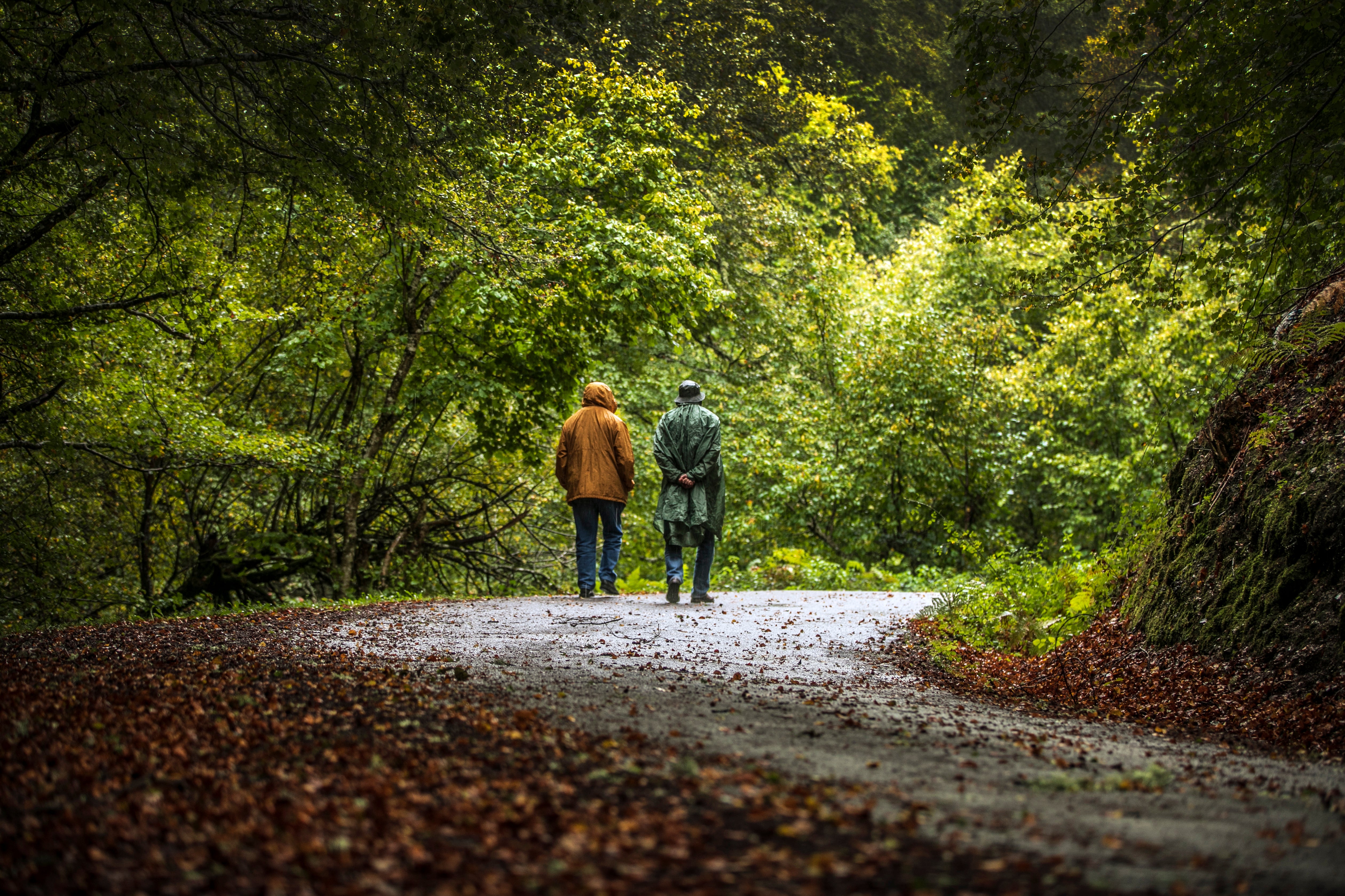 Rutas de otoño por La Rioja en imágenes