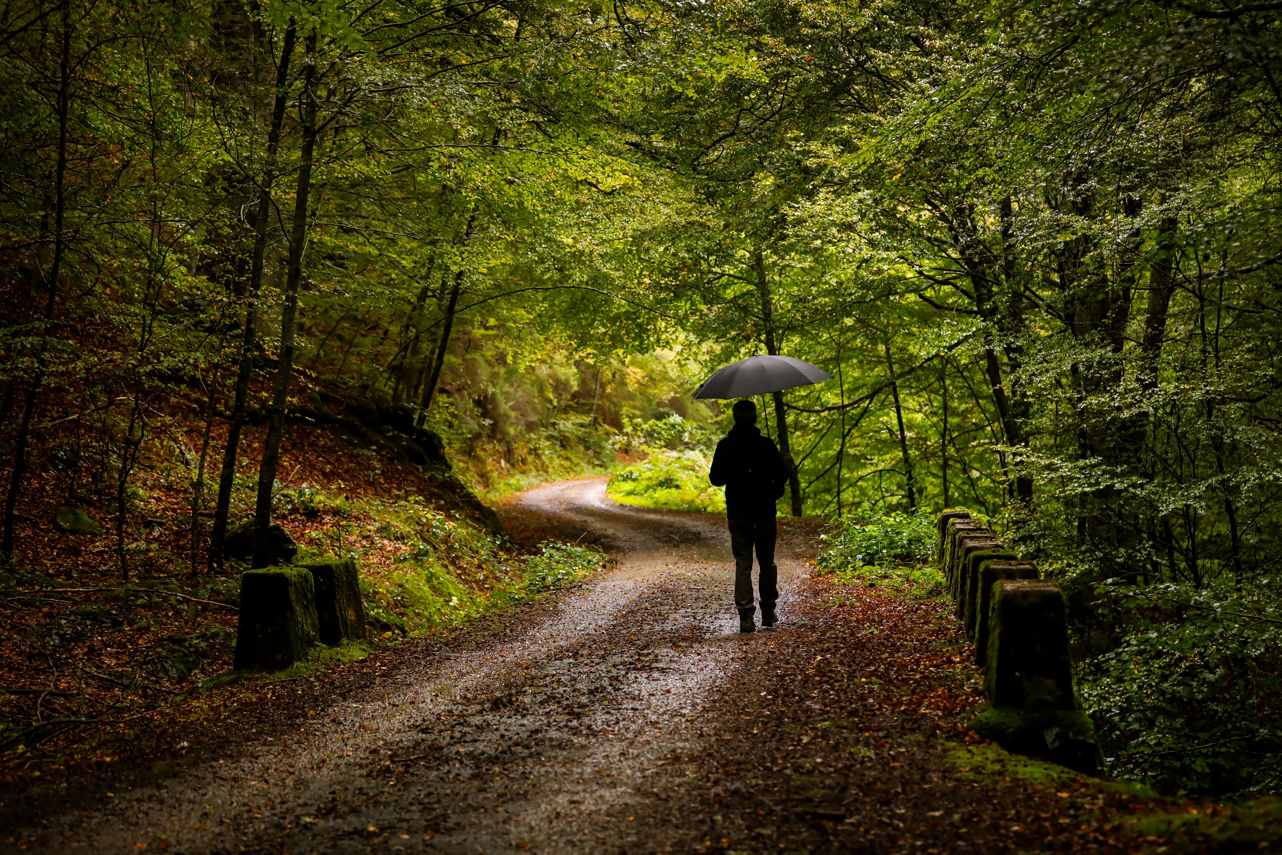 Rutas de otoño por La Rioja en imágenes