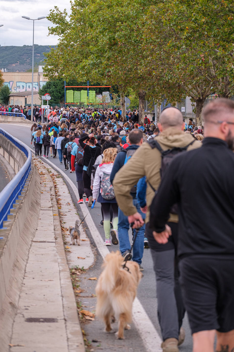 Las imágenes de la Marcha Aspace