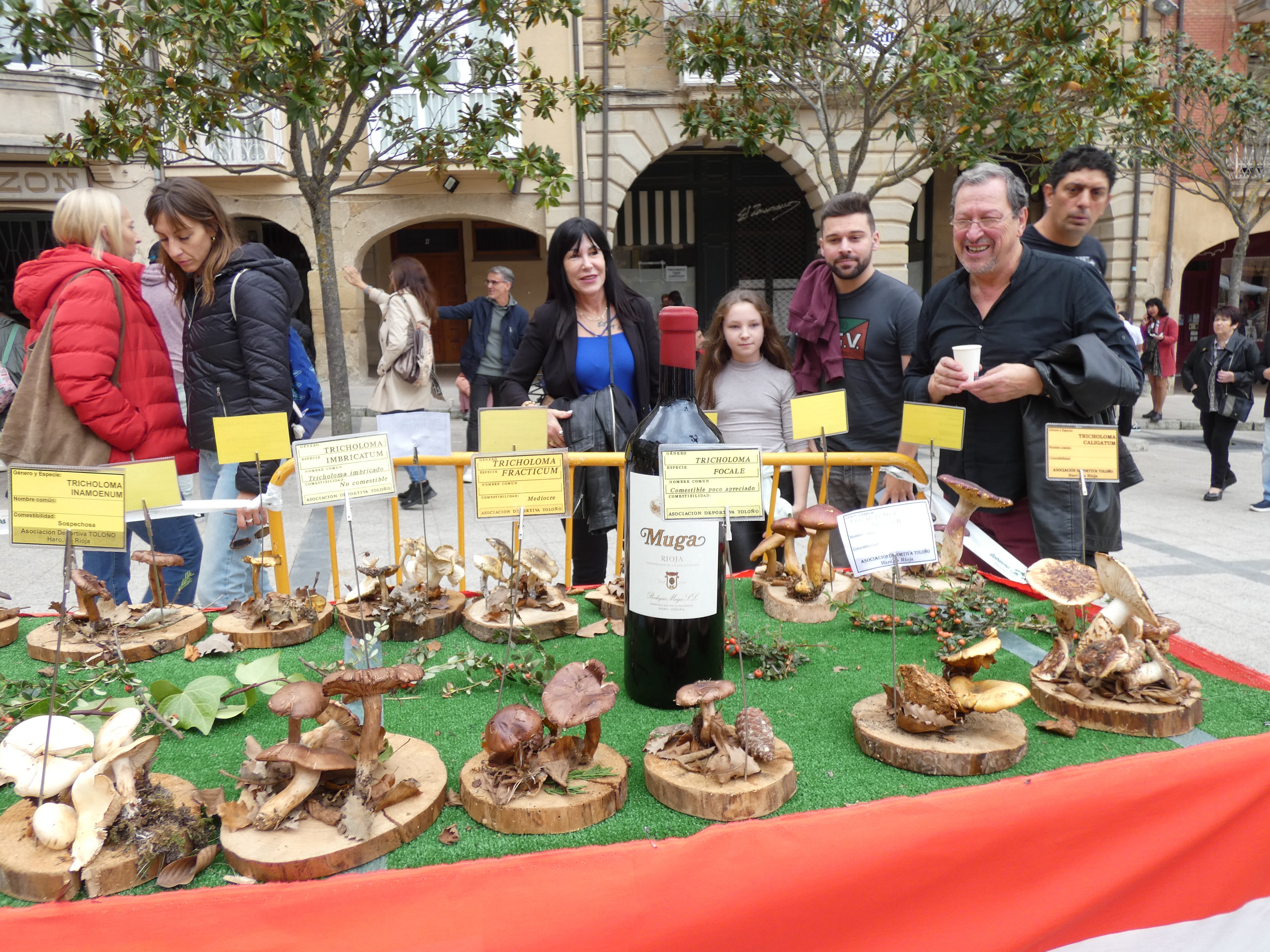 Haro disfruta este domigno de las XXIX Jornadas Micológicas