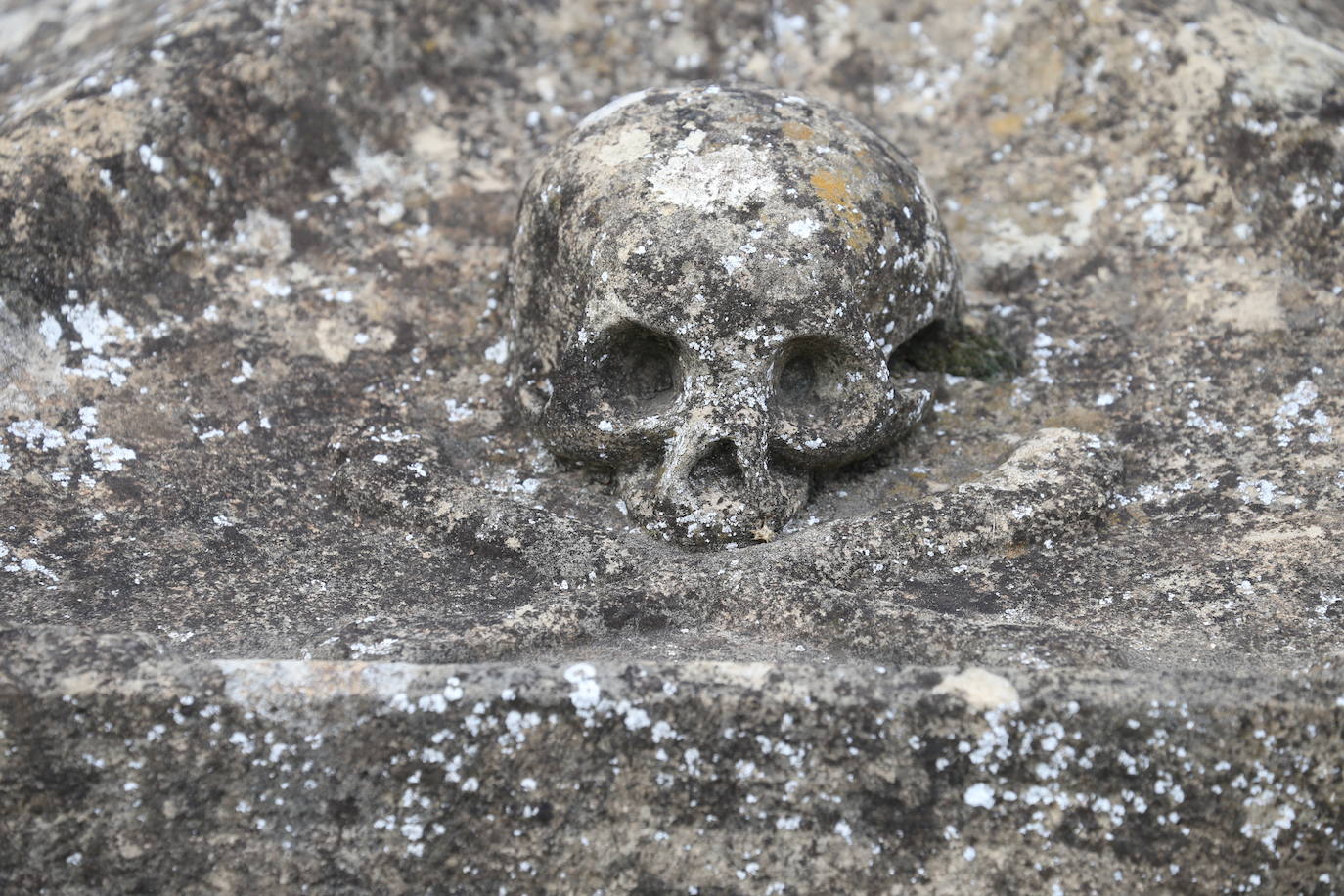 El Día de Todos los Santos, en el cementerio de Logroño