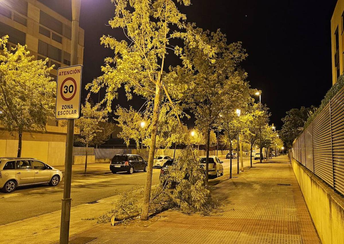 Imagen secundaria 1 - Caseta de columpios caída en el parque Escocia y ramas caídas en las aceras de las calles Nestares y Duques de Nájera.