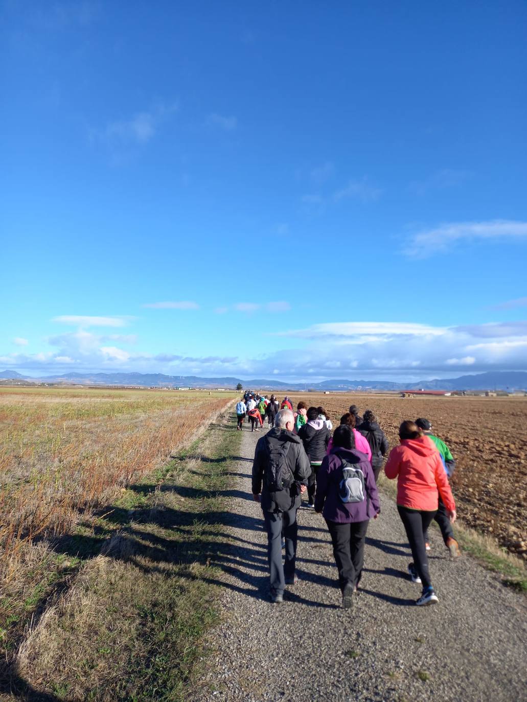 &#039;En marcha contra el cáncer&#039;, en Santo Domingo