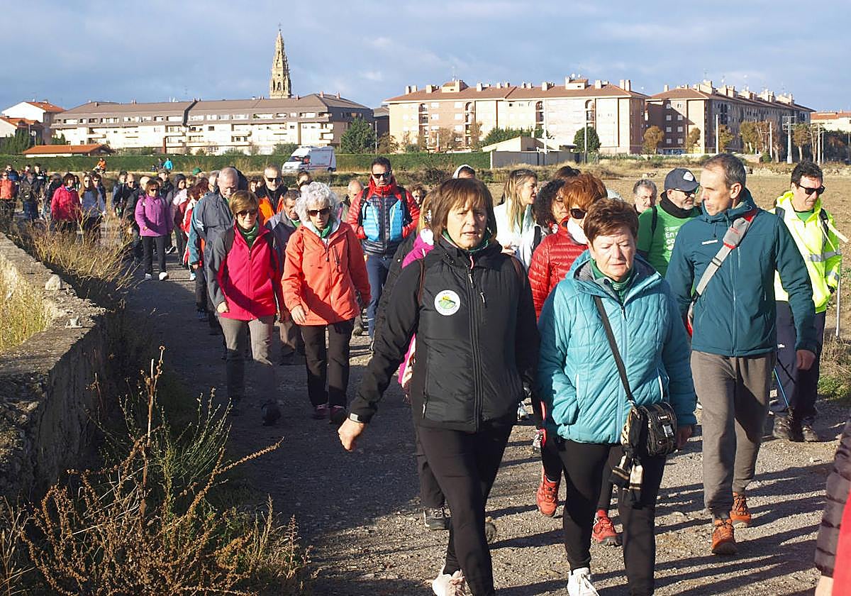 &#039;En marcha contra el cáncer&#039;, en Santo Domingo