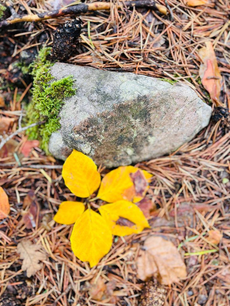 Otoño en el monte riojano
