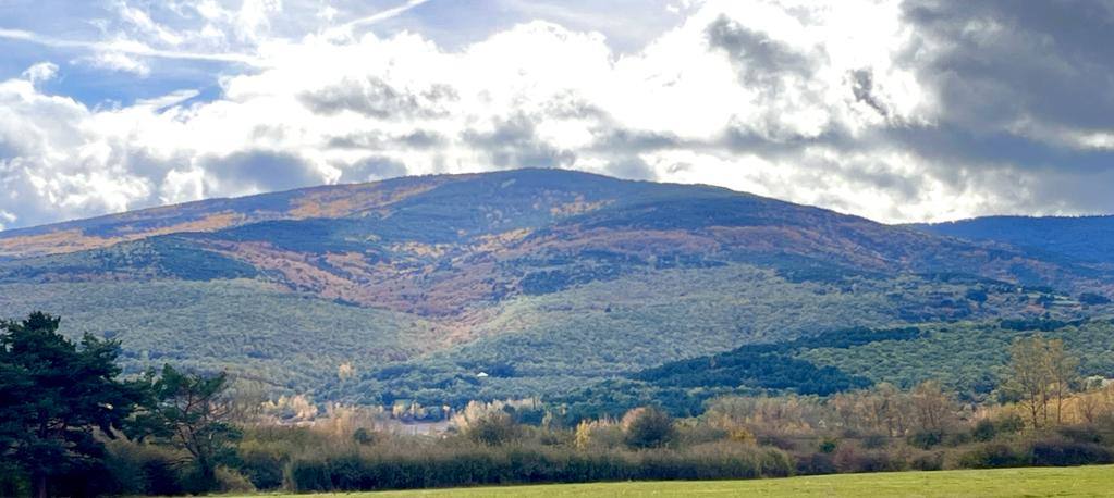 Otoño en el monte riojano