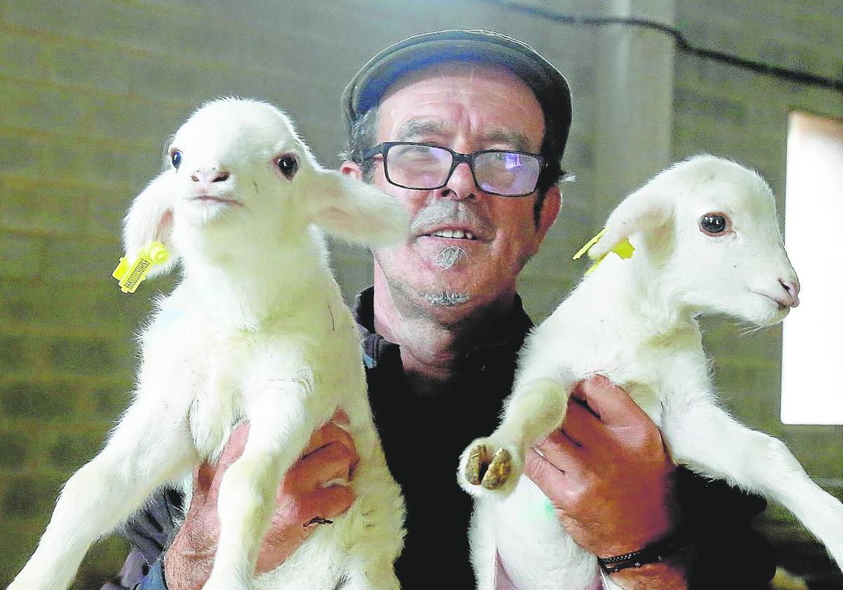 Jesús Sáenz, pastor que cuida del ganado de la Escuela de Pastores de La Rioja, en Brieva, muestra dos corderos del rebaño.