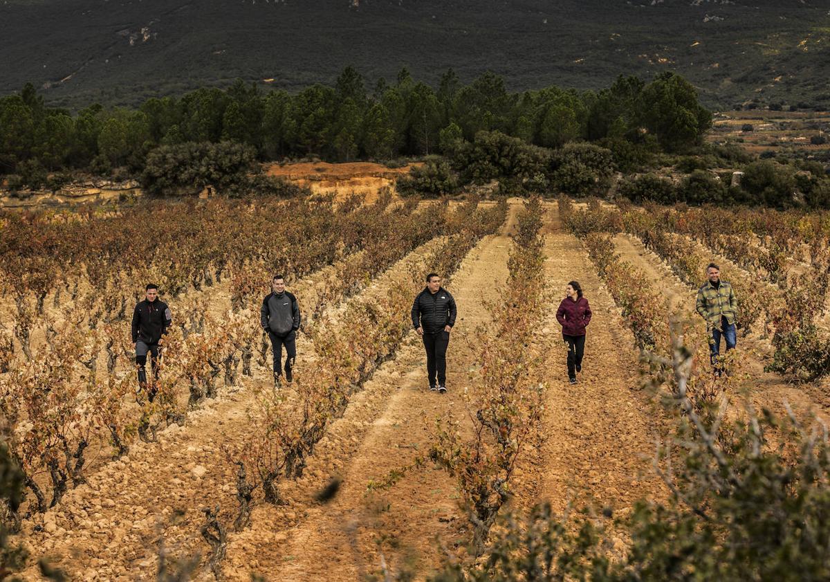 Imagen principal - Arriba, viticultores en El Bardallo, en San Vicente de la Sonsierra; abajo, finca La Loma, de Miguel Merino, y tierra de Los Mártires, de M.A. de Gregorio. 