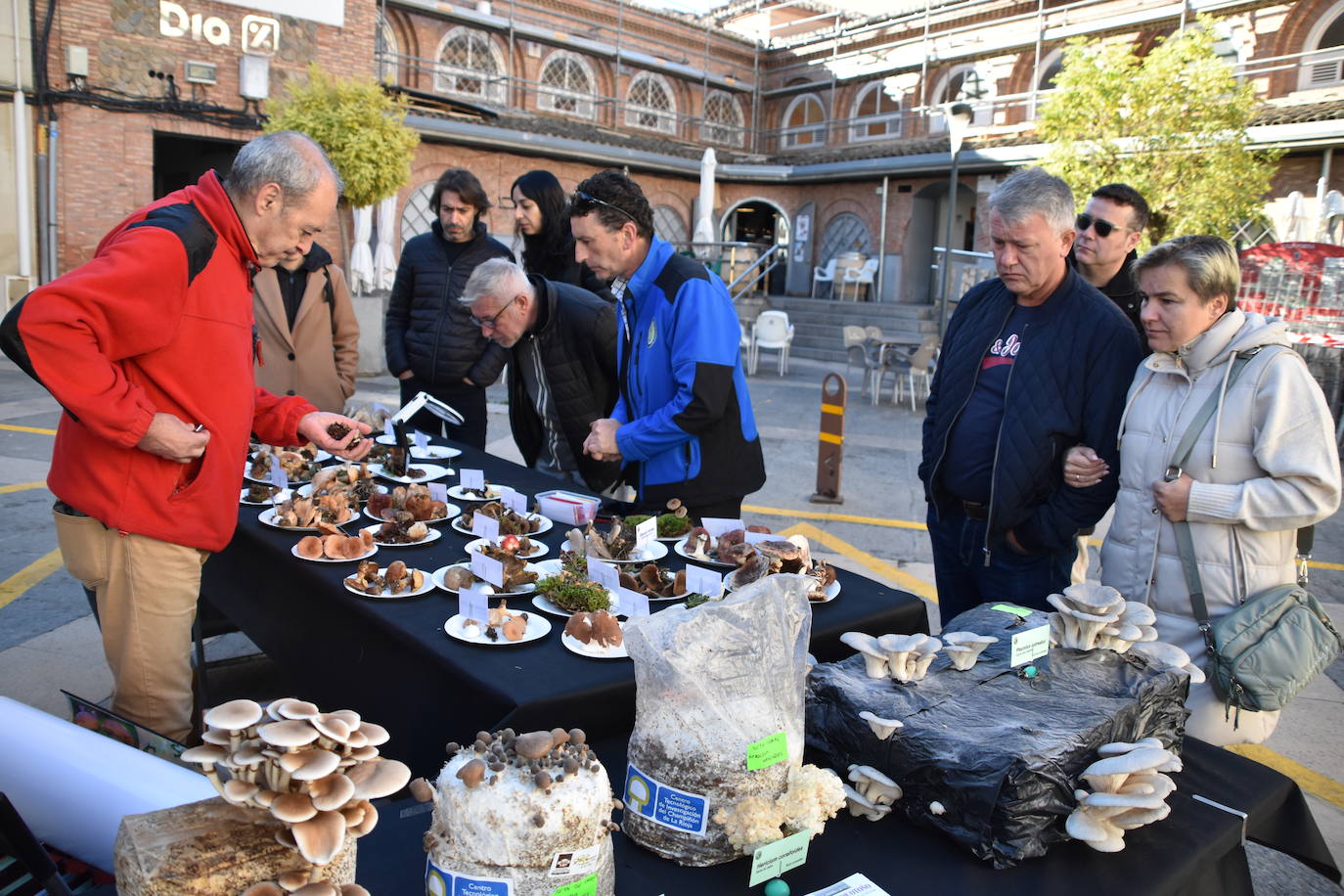 Las jornadas micológicas de Calahorra