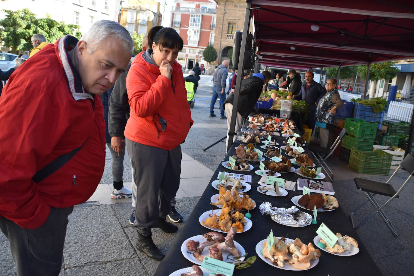 Las jornadas micológicas de Calahorra