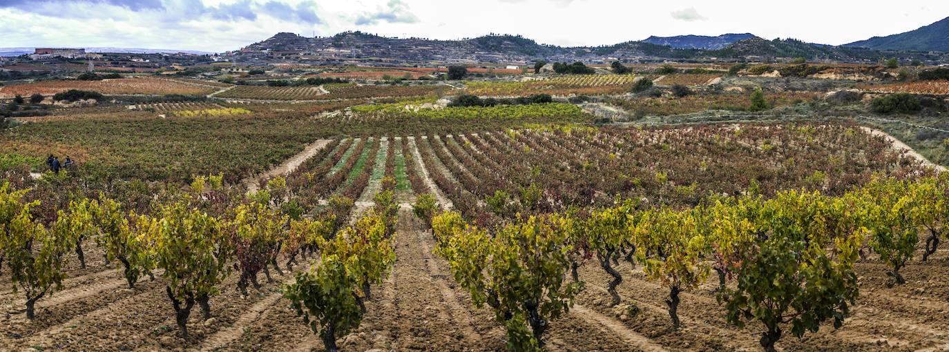 Los paisajes del Rioja