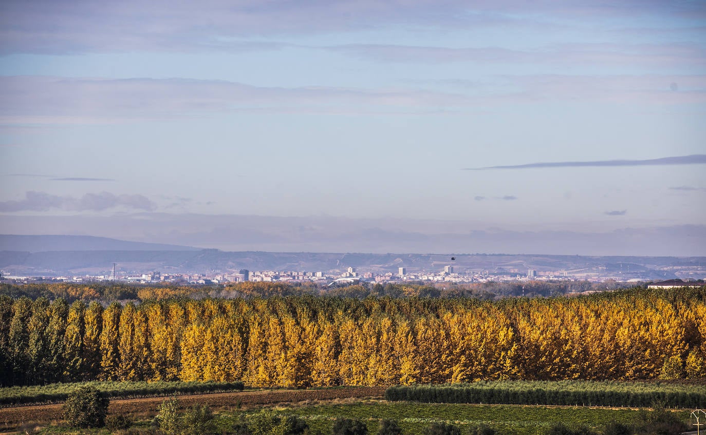 Los paisajes del Rioja