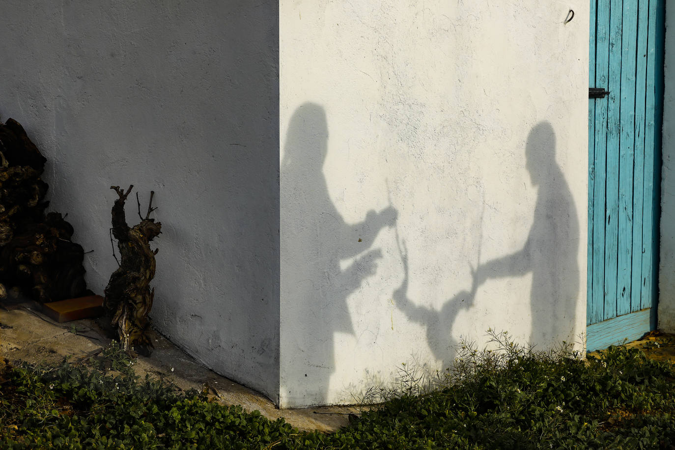 Los paisajes del Rioja