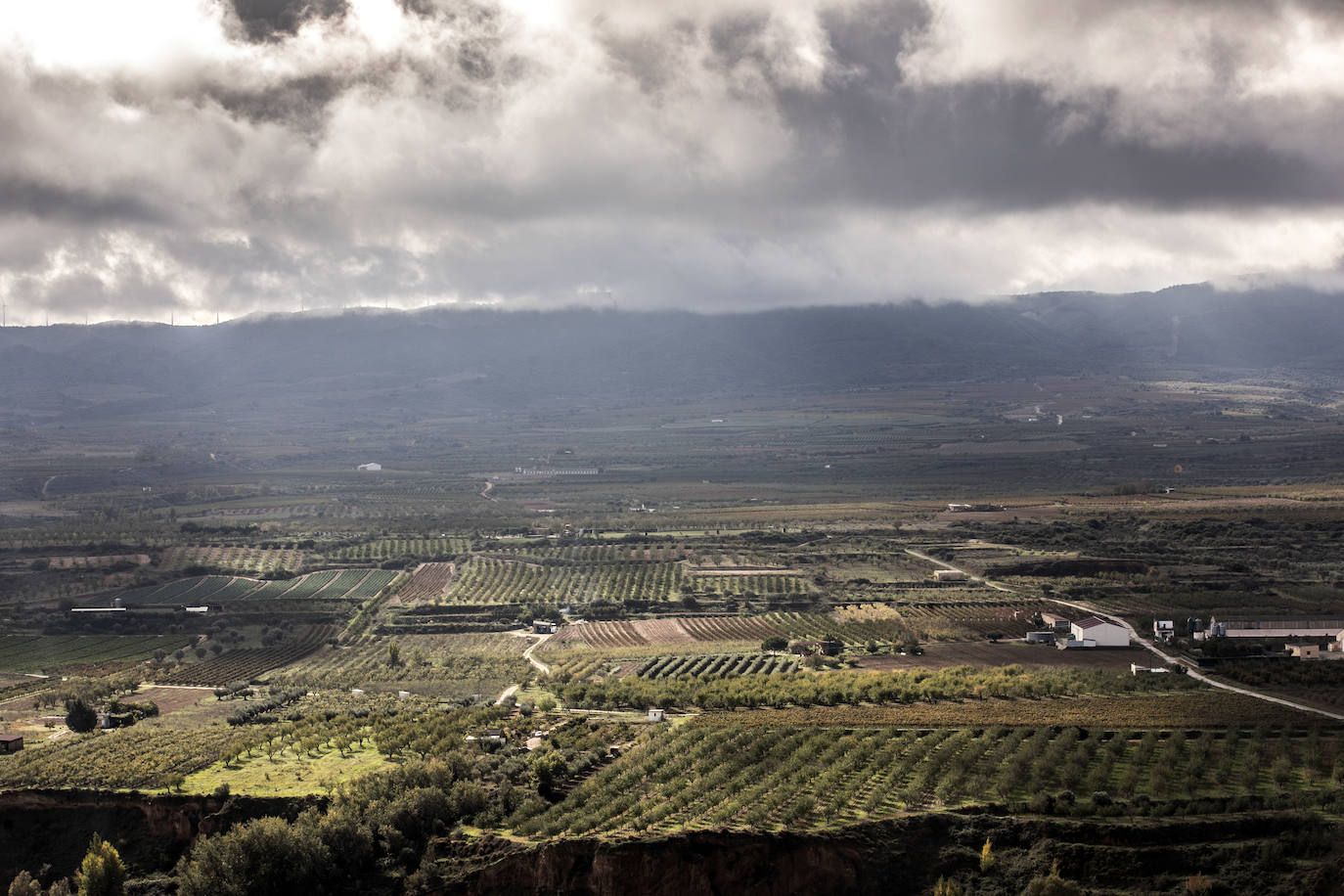 Los paisajes del Rioja