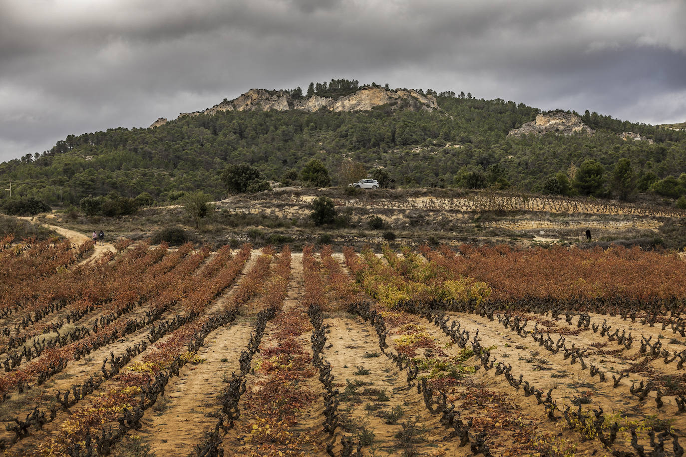 Los paisajes del Rioja