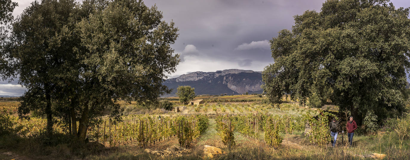 Los paisajes del Rioja