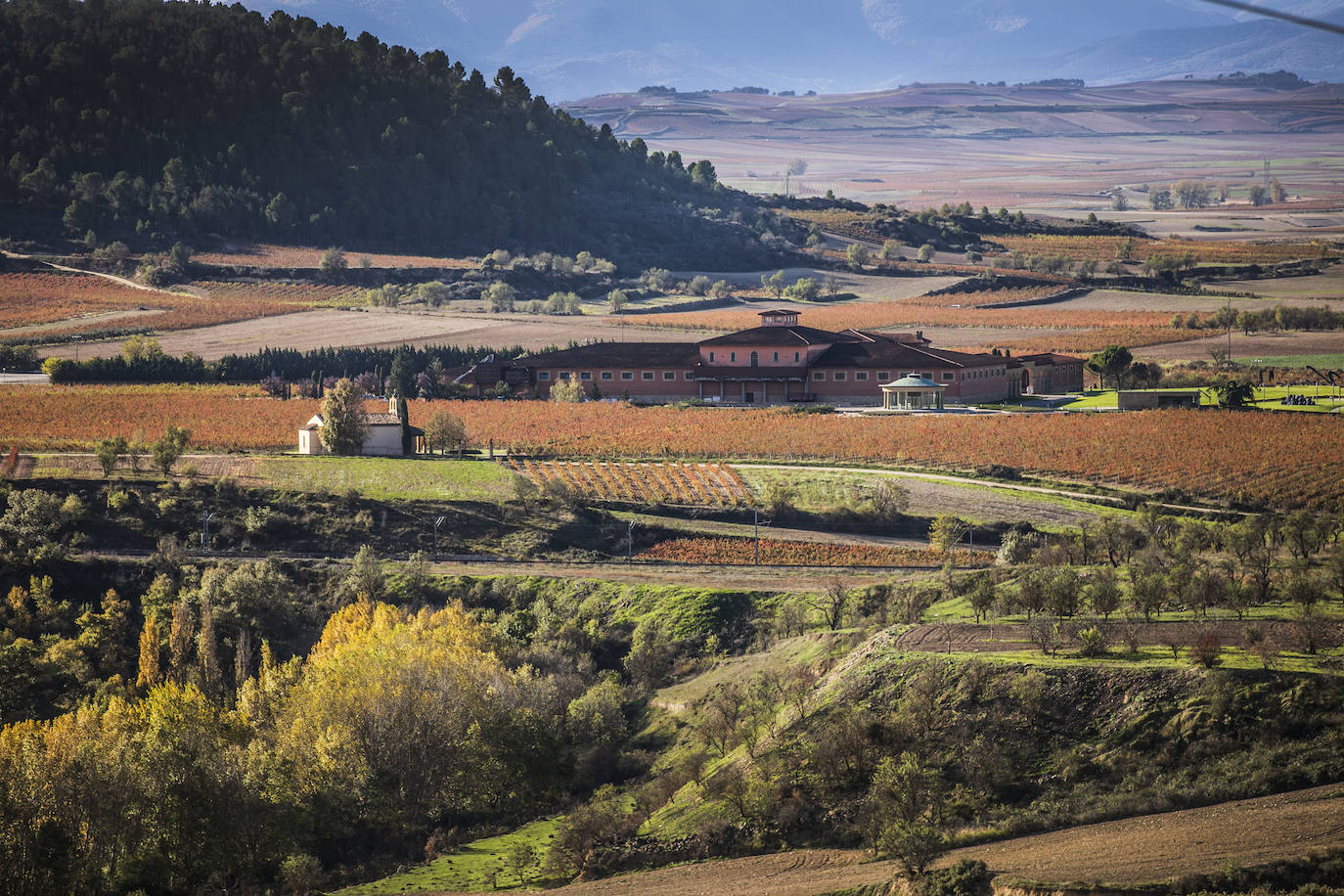 Los paisajes del Rioja