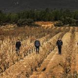 Tierras para bautizar el vino con nombre propio