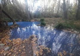 Vertido contaminante en el río Iregua a su paso por Logroño