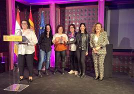 Entrega de los premios Meninas