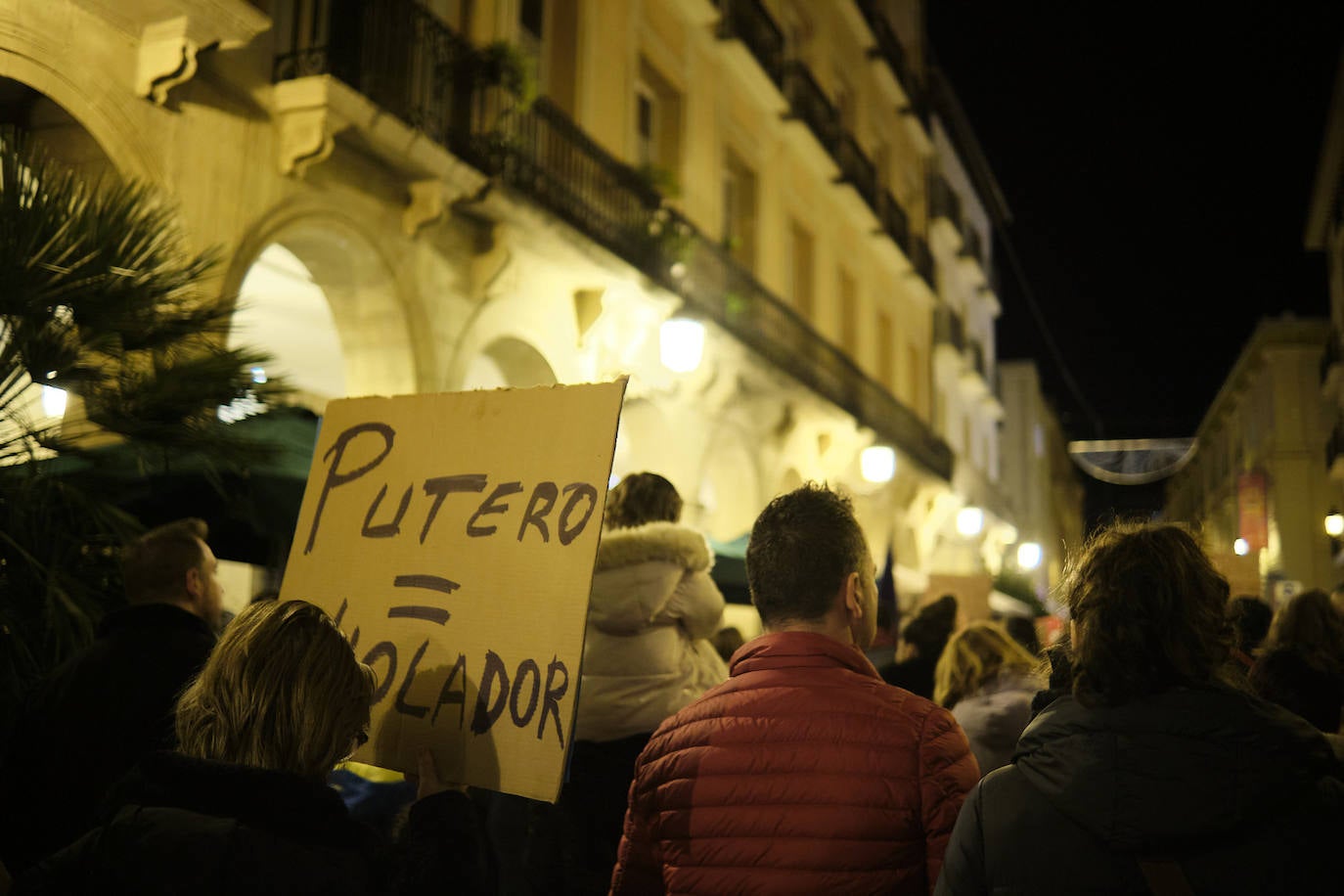 Las imágenes de la manifestación del 25N en Logroño