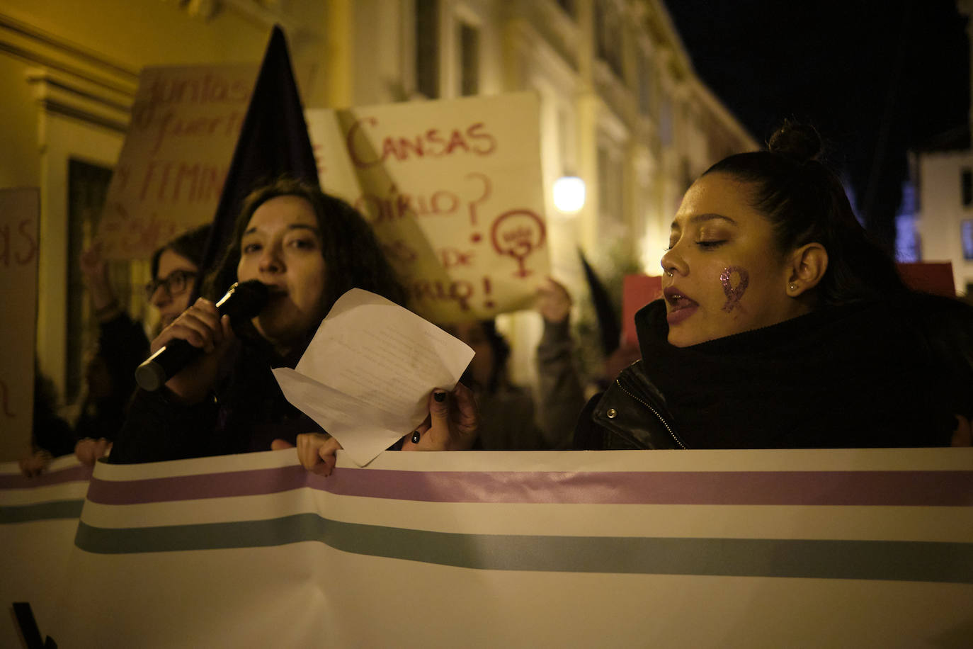 Las imágenes de la manifestación del 25N en Logroño