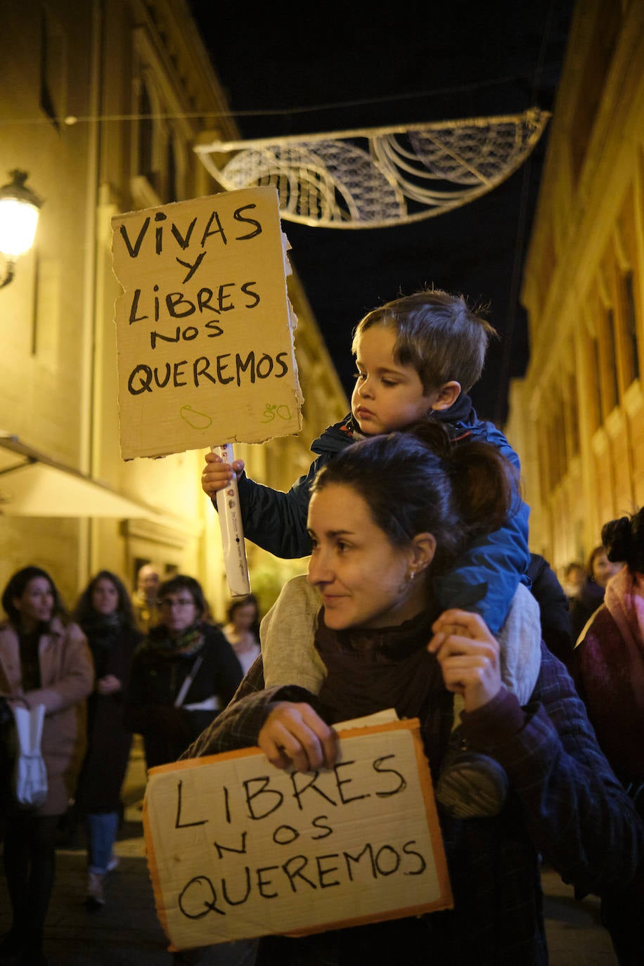 Las imágenes de la manifestación del 25N en Logroño