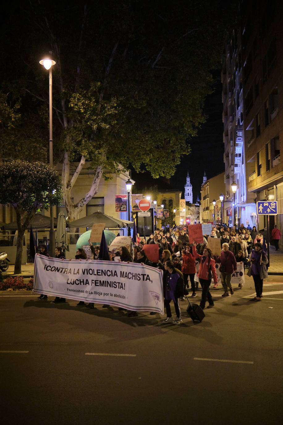 Las imágenes de la manifestación del 25N en Logroño