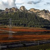 El Consejo Regulador judicializará la línea de Forestalia si logra el permiso ambiental