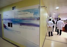 Unidad de Investigación Oncológica del Cibir.