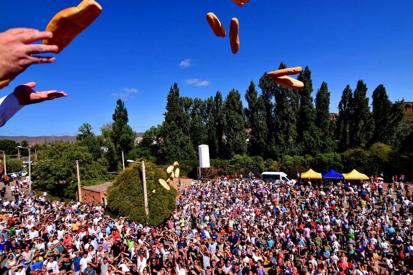544 años han pasado desde que la Cofradía del Santo Cristo de la Transfiguración pusiese en marcha la fiesta del Pan y Queso. 