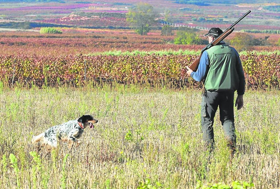La ley ladradora que pasa a ser poco mordedora vista en La Rioja