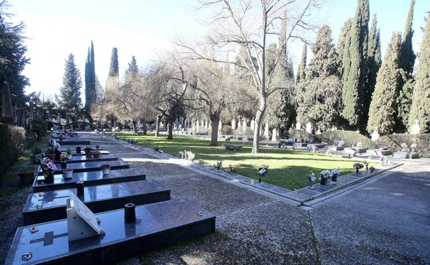 Estado actual de la parcela del camposanto municipal donde será instalado el futuro 'memorial'. 