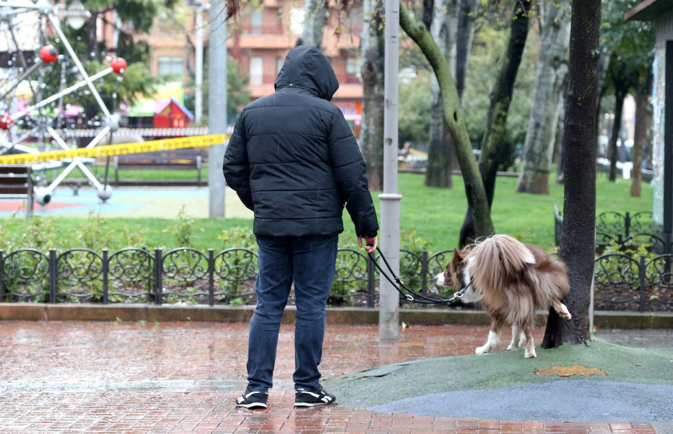 Un vecino de Logroño, con su perro en el parque Gallarza.