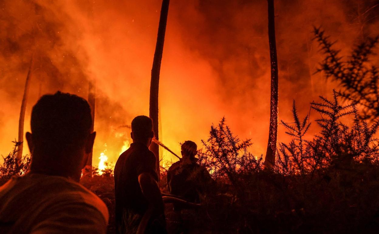 Imagen de un incendio forestal en Las Landas. 