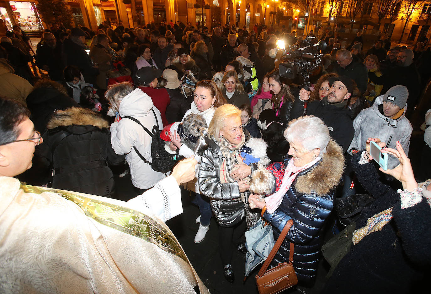 Bendición de animales en Logroño.