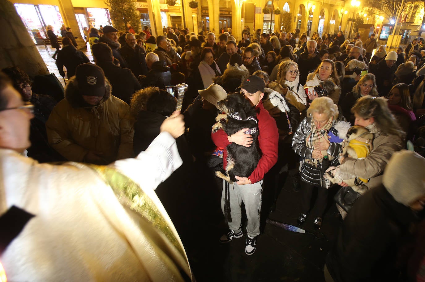 Bendición de animales en Logroño.