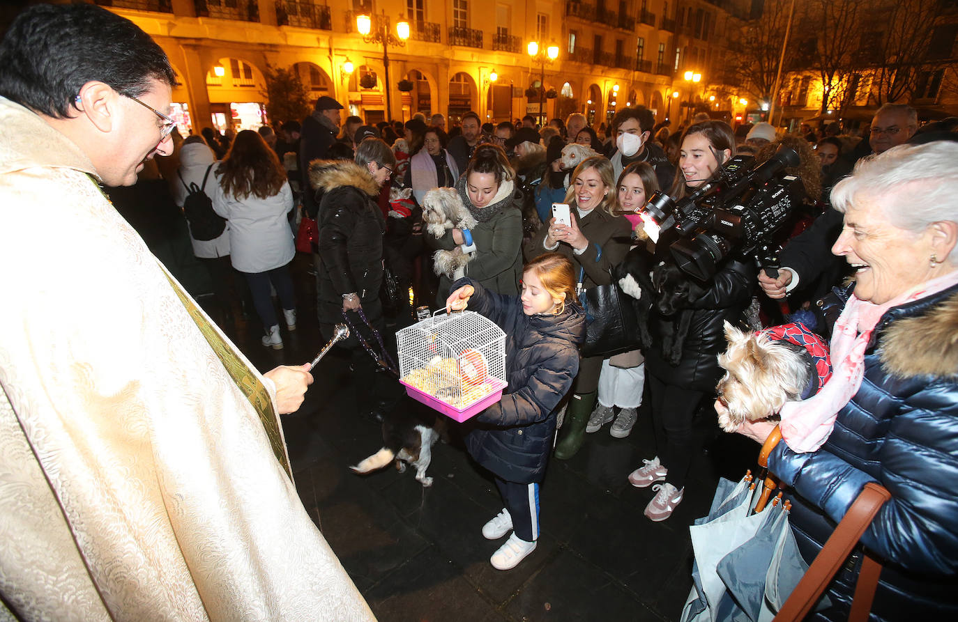 Bendición de animales en Logroño.