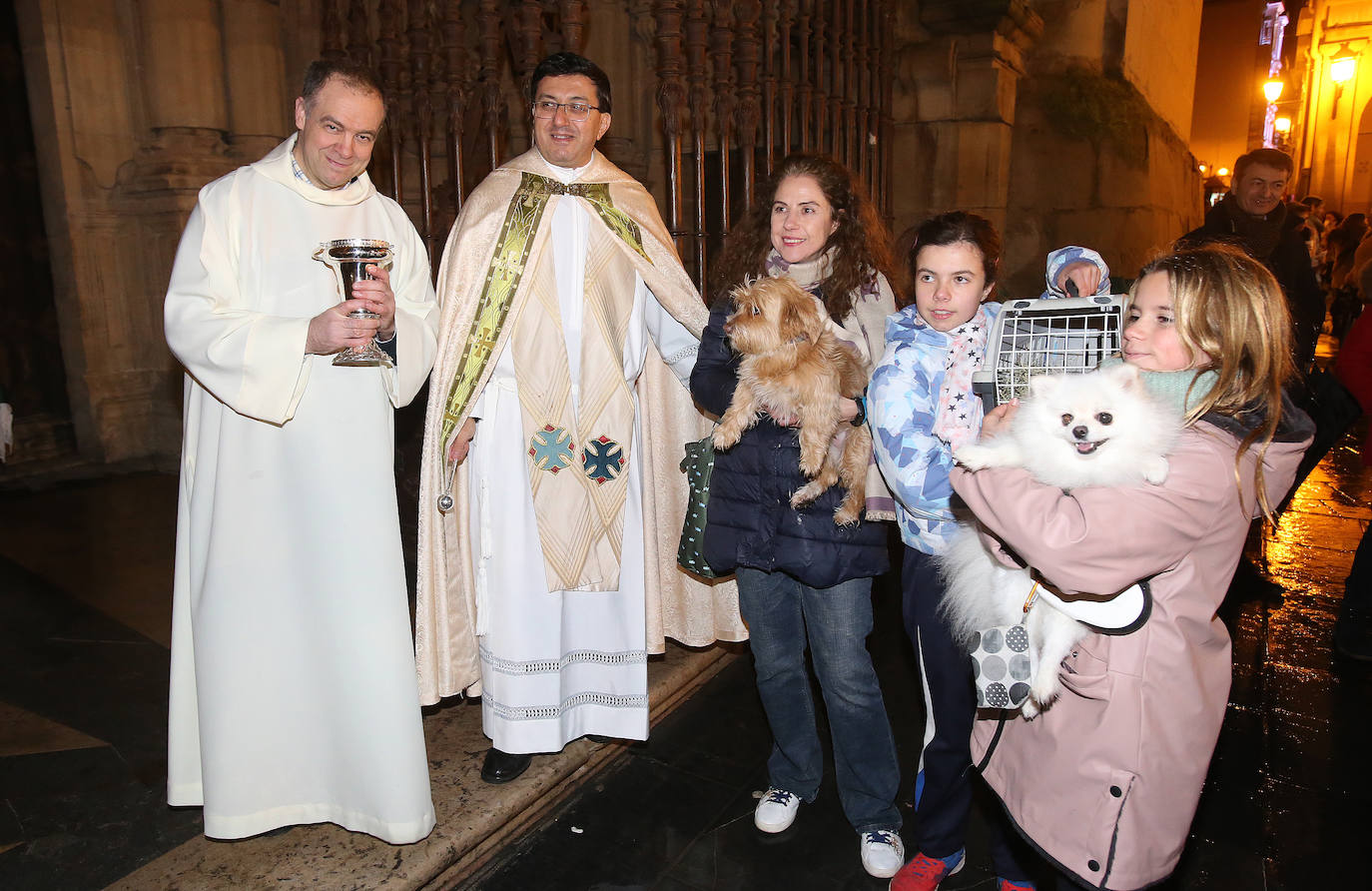 Bendición de animales en Logroño.
