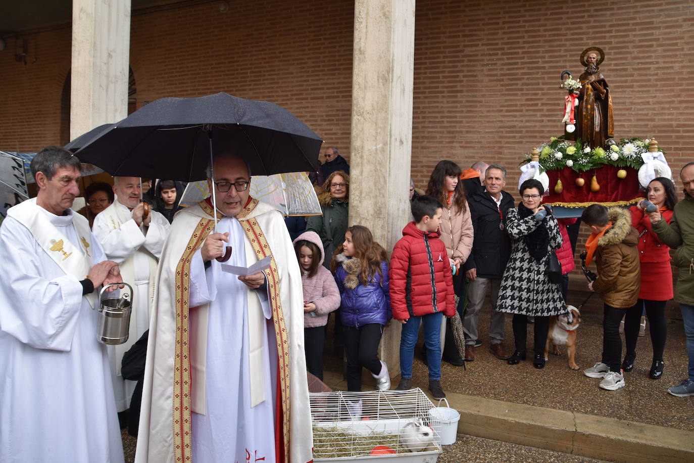 Procesión y bendición de San Antón en Rincón de Soto.