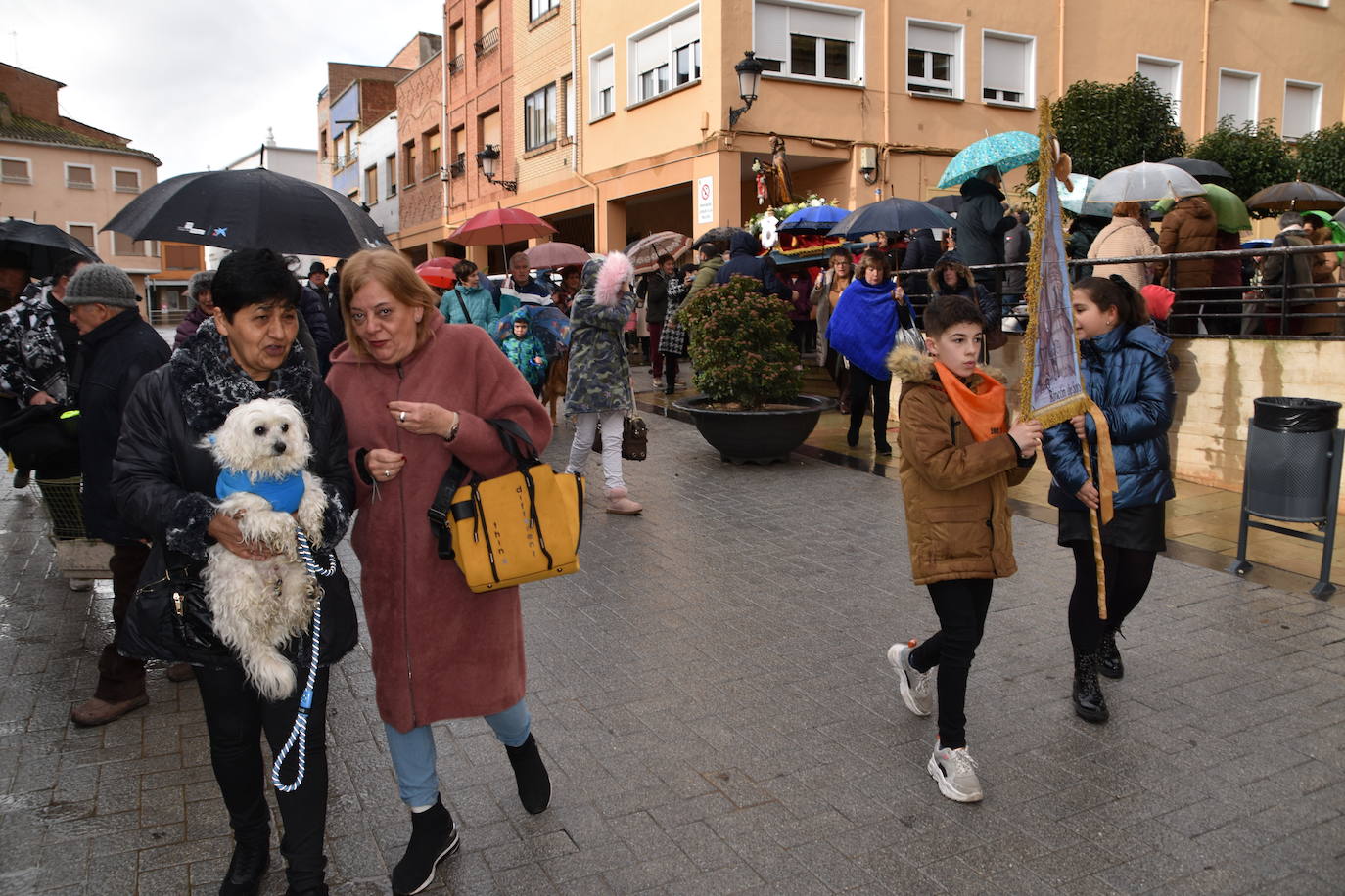Procesión y bendición de San Antón en Rincón de Soto.